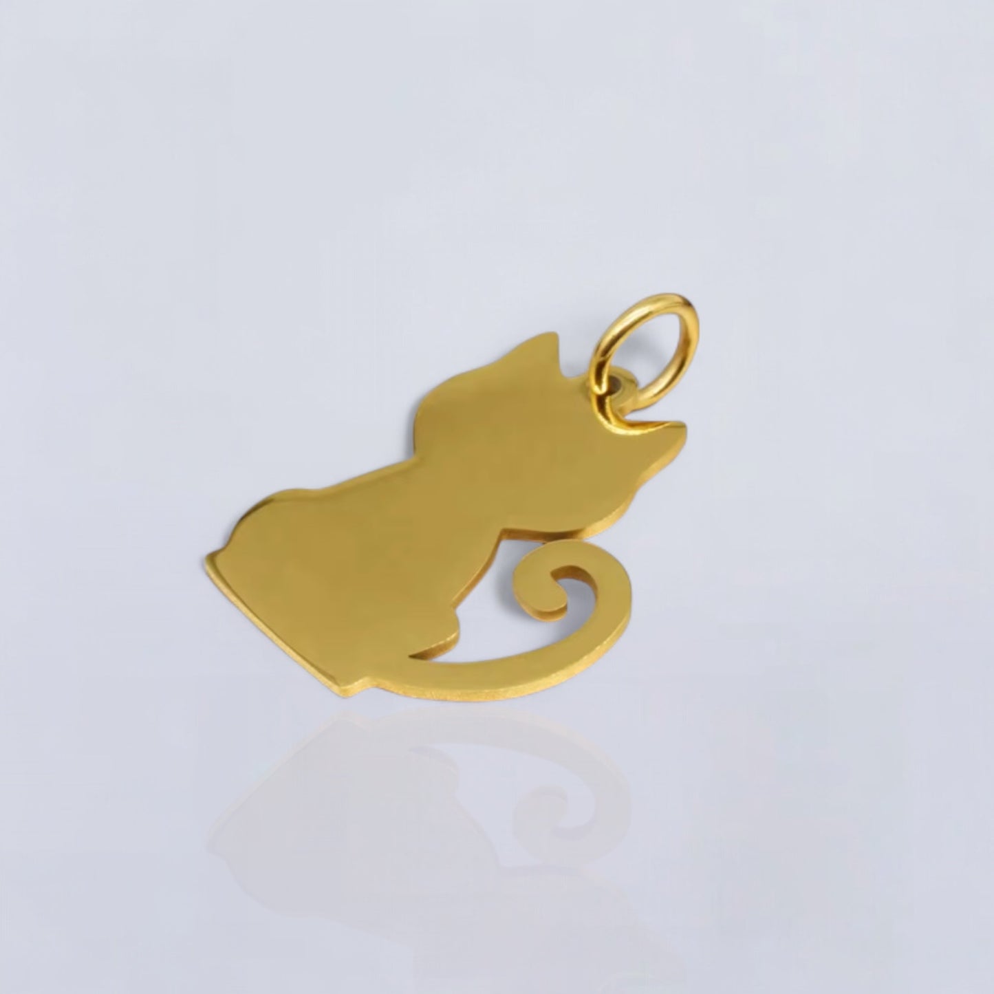 Etiqueta de identificación para mascotas de acero inoxidable, etiqueta personalizada para perros y gatos, texto personalizado grabado en ambos lados en hueso o figura de gato