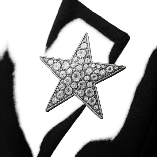 Broche Estrella Plateada